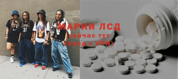 apvp Каменка
