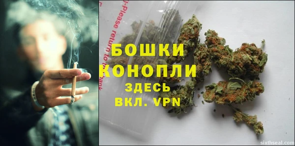 гидра Каменск-Шахтинский