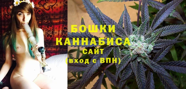 apvp Каменка