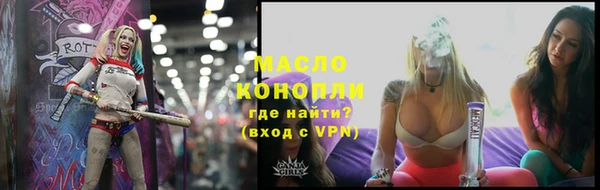 apvp Каменка