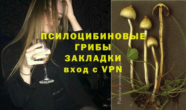 гидра Каменск-Шахтинский