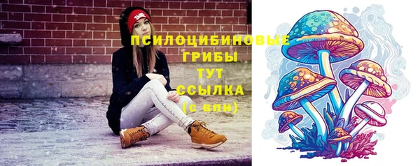 гидра Каменск-Шахтинский