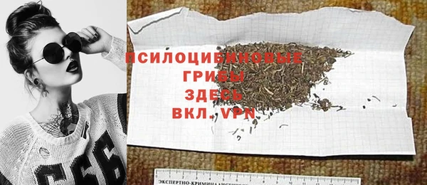 гидра Каменск-Шахтинский