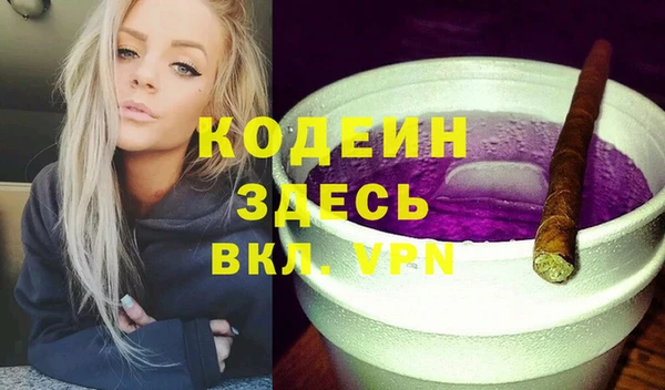 apvp Каменка