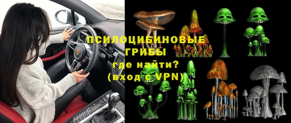 apvp Каменка