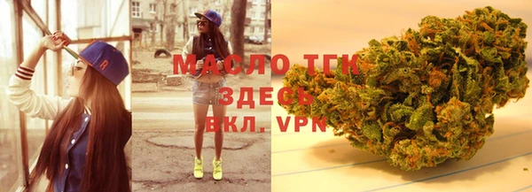 apvp Каменка
