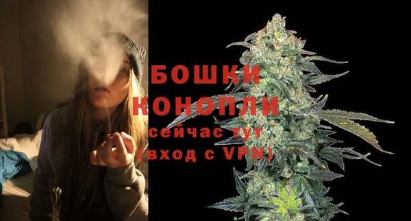 apvp Каменка