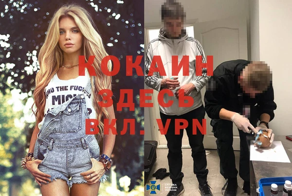 apvp Каменка